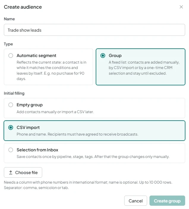 The audience creation window with a name, Group type, and CSV import selected under Initial filling.