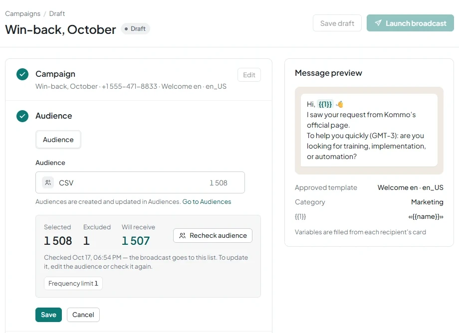 The Audience section after checking, showing Selected, Excluded, Will receive, and exclusion reasons.