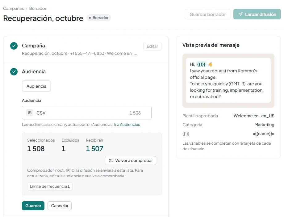 Sección Audiencia después de la verificación, con los indicadores Seleccionados, Excluidos y Recibirán, y los motivos de exclusión.