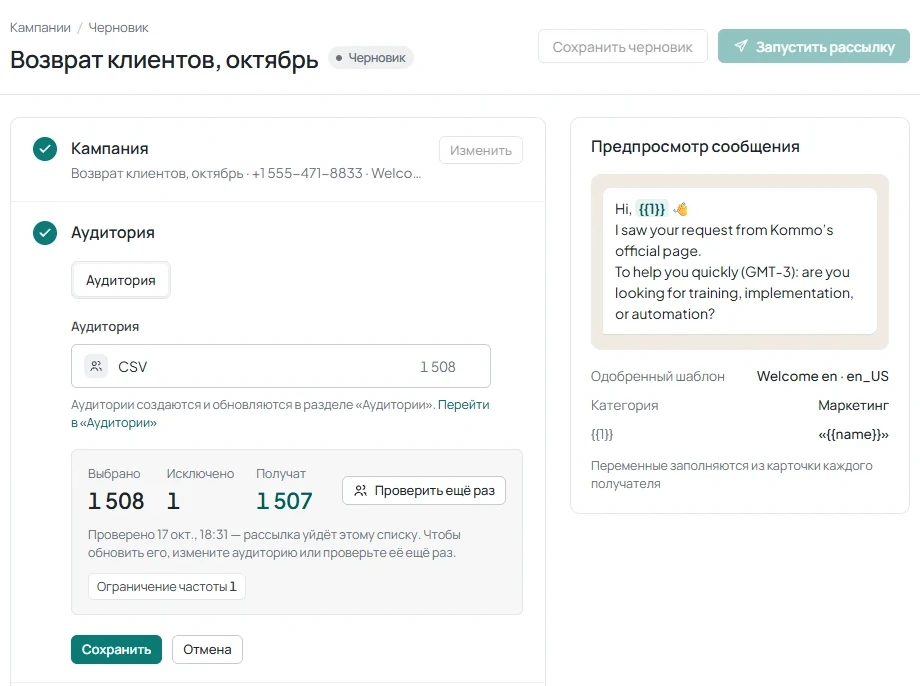 Раздел Аудитория после проверки с показателями Выбрано, Исключено, Получат и причинами исключений.