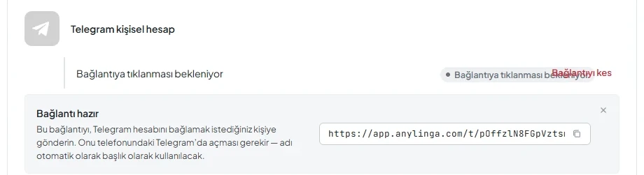 «Bağlantıyı aç» ve «Kopyala» düğmeleri ile kişisel hesap bağlantı durumlarını gösteren «Bağlantı hazır» penceresi.